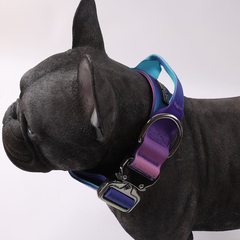 Collier tactique personnalisé pour chien, laisse pour chien, couleur dégradée, collier tactique anti-explosion, laisse pour animaux de compagnie 27