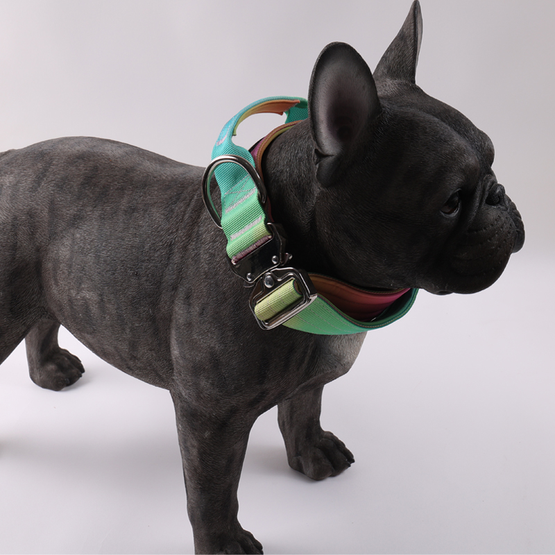 Collier tactique personnalisé pour chien, laisse pour chien, couleur dégradée, collier tactique anti-explosion, laisse pour animaux de compagnie 26