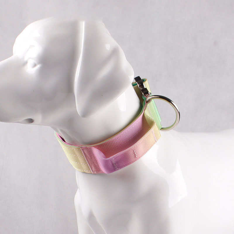 Collier tactique personnalisé pour chien, à dégradé de couleurs, antidéflagrant, pour grands chiens 19