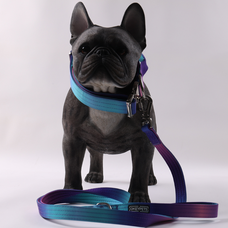 Collier tactique personnalisé pour chien, laisse pour chien, couleur dégradée, collier tactique anti-explosion, laisse pour animaux de compagnie 29