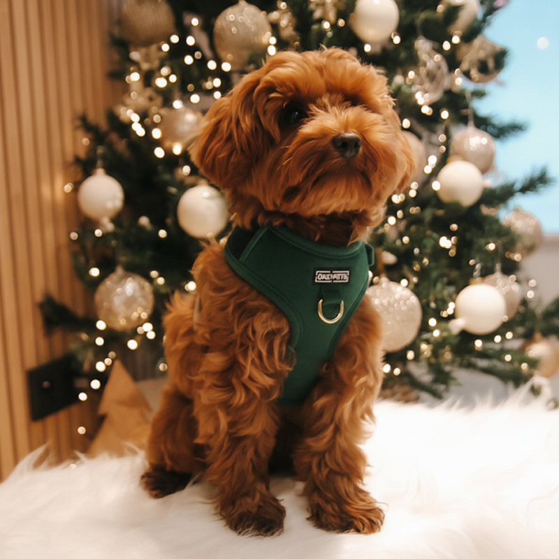 Harnais pour chien en velours uni personnalisé avec étiquette en PVC 27