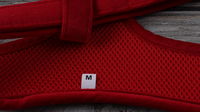 Harnais pour chien en velours uni personnalisé avec étiquette en PVC 11