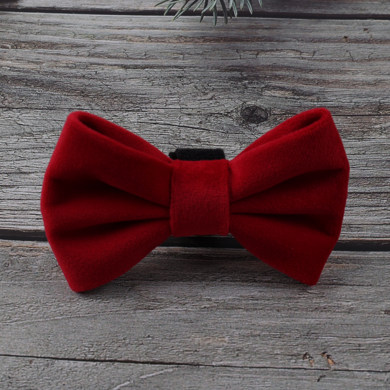 Harnais pour chien en velours uni personnalisé avec étiquette en PVC 20