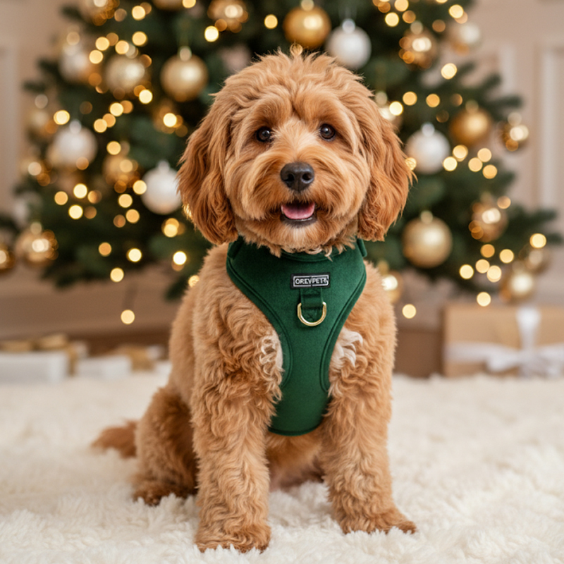 Harnais pour chien en velours uni personnalisé avec étiquette en PVC 28