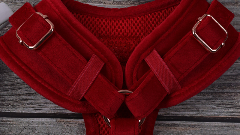 Harnais pour chien en velours uni personnalisé avec étiquette en PVC 12