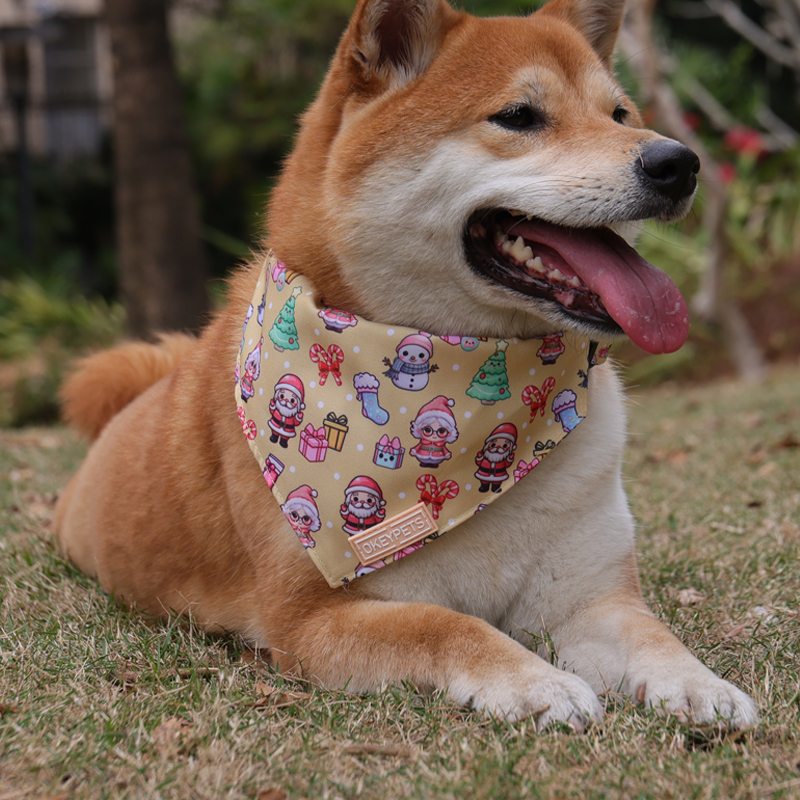 Bandana triangulaire pour chien, disponible en plusieurs tailles, à enfiler sur le collier, accessoires pour animaux de compagnie 17