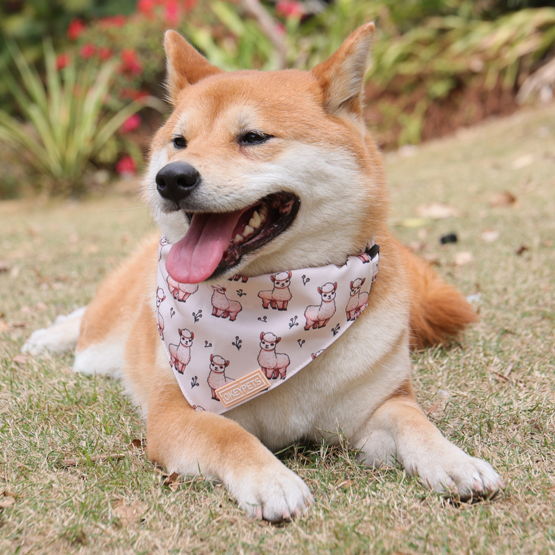 Bandana triangulaire pour chien, disponible en plusieurs tailles, à enfiler sur le collier, accessoires pour animaux de compagnie 19