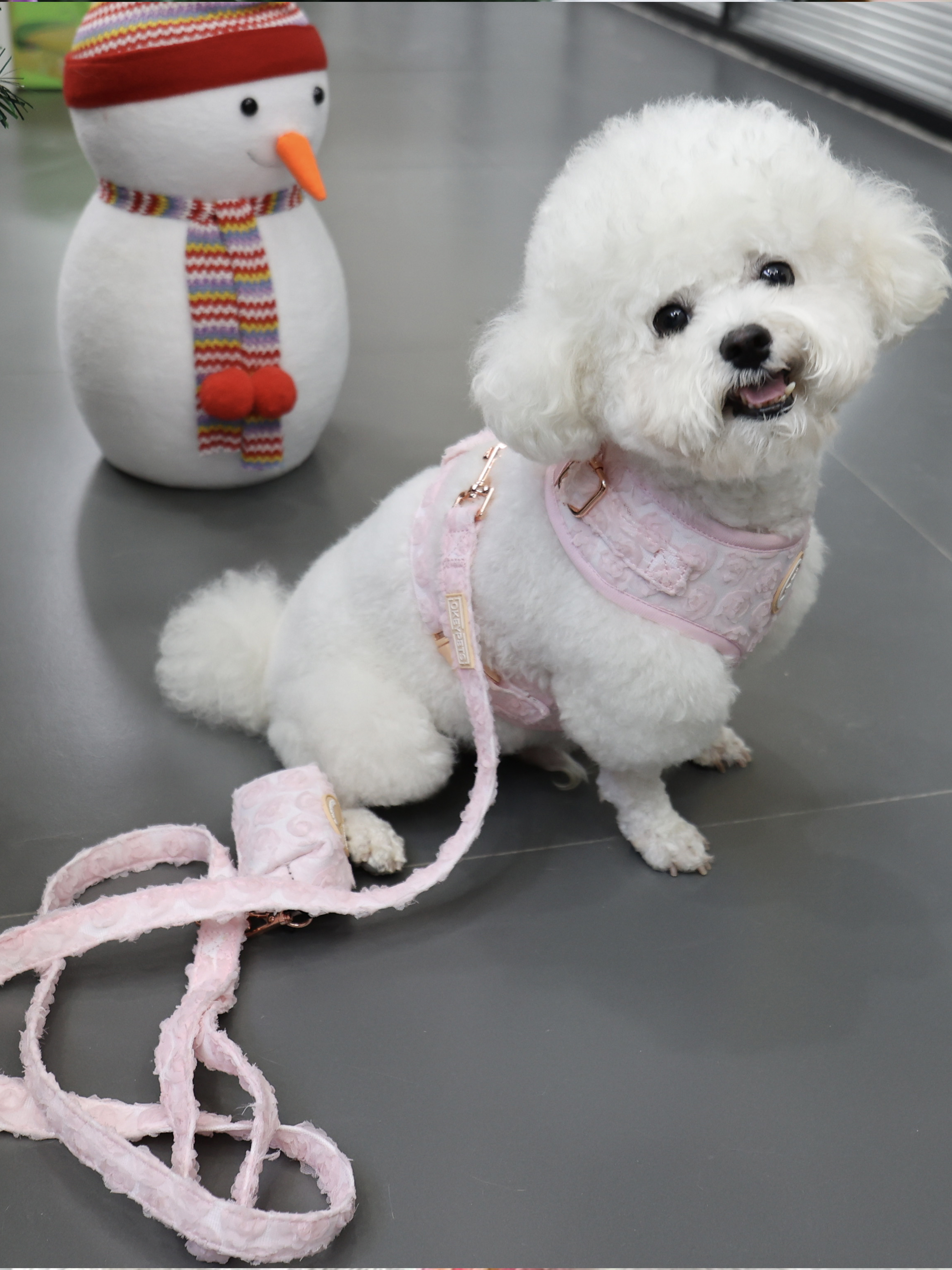 OKEYPETS Custom Flower Crochet Dog Harness Set Dog Collar Dog Leash 27