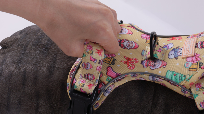 Harnais anti-traction pour chien, fabrication sur mesure, harnais robuste pour animaux de compagnie 11