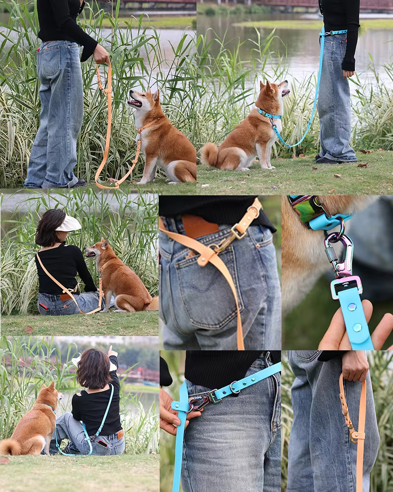 Laisse de traction double en PVC sur mesure pour chien, imperméable, pour promenades en extérieur 17