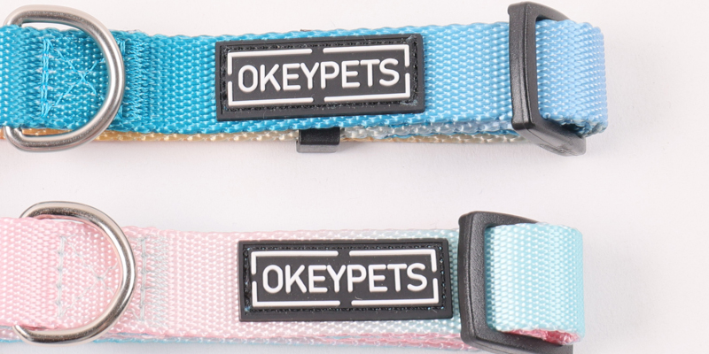 Ensemble collier et laisse rétractables pour chien, résistant et personnalisable 13