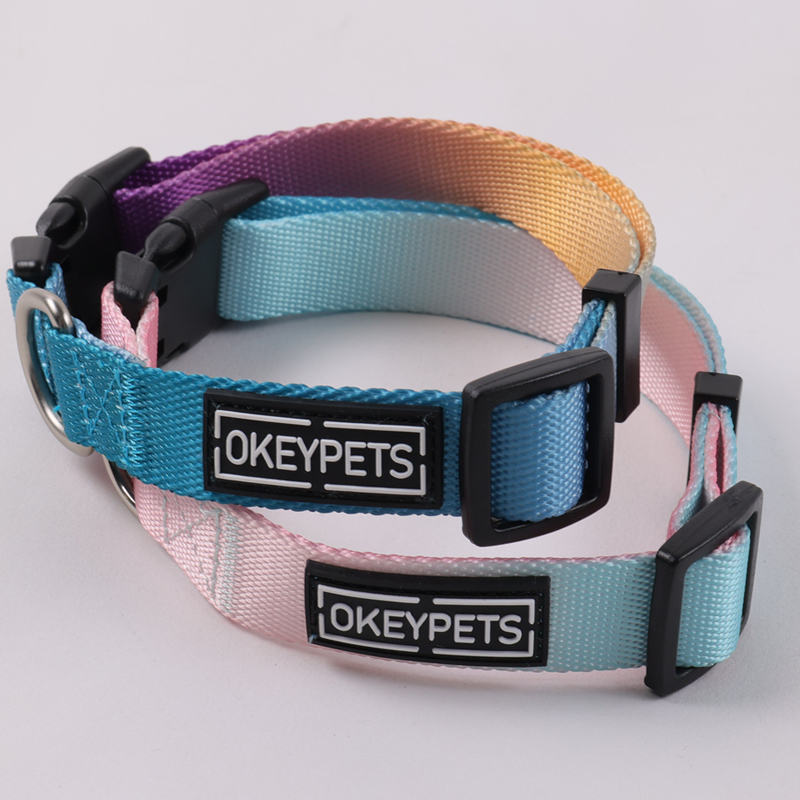 Ensemble collier et laisse rétractables pour chien, résistant et personnalisable 14