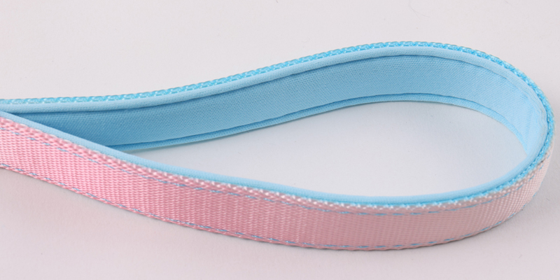 Ensemble collier et laisse rétractables pour chien, résistant et personnalisable 10