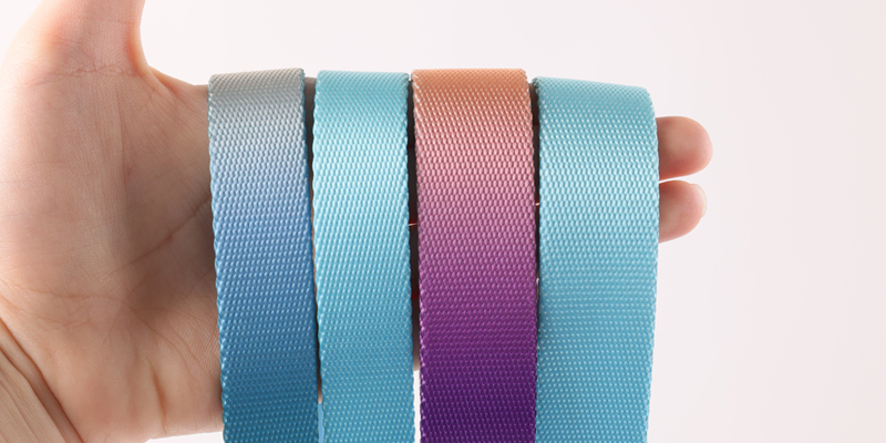 Ensemble collier et laisse rétractables pour chien, résistant et personnalisable 8