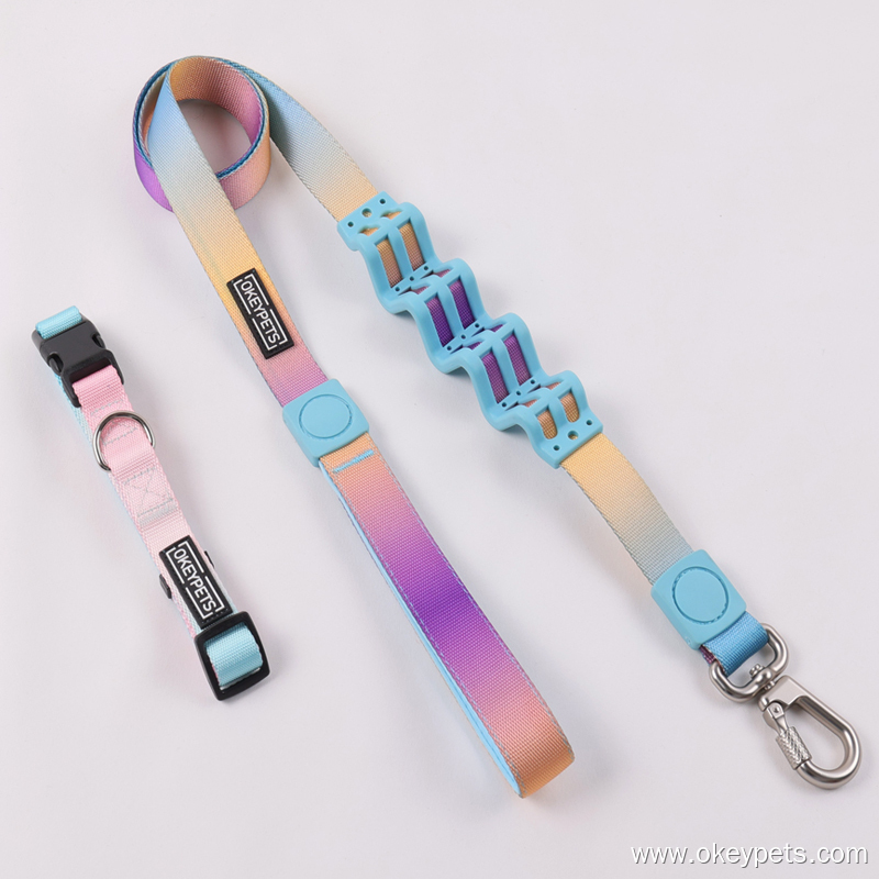 Ensemble collier et laisse rétractables pour chien, résistant et personnalisable 7