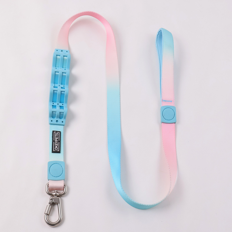 Ensemble collier et laisse rétractables pour chien, résistant et personnalisable 15