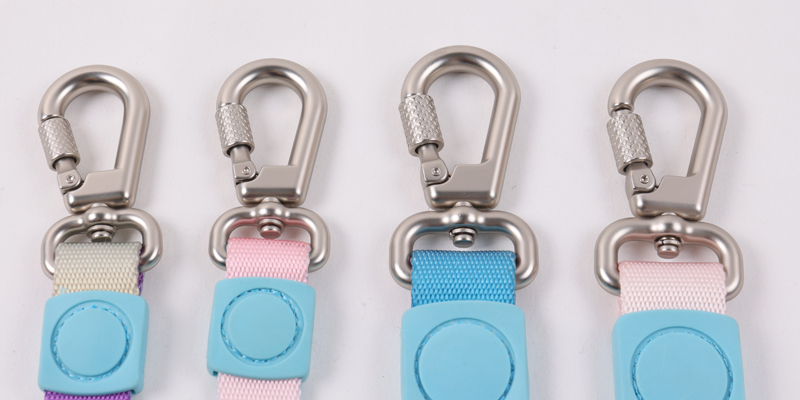 Ensemble collier et laisse rétractables pour chien, résistant et personnalisable 9