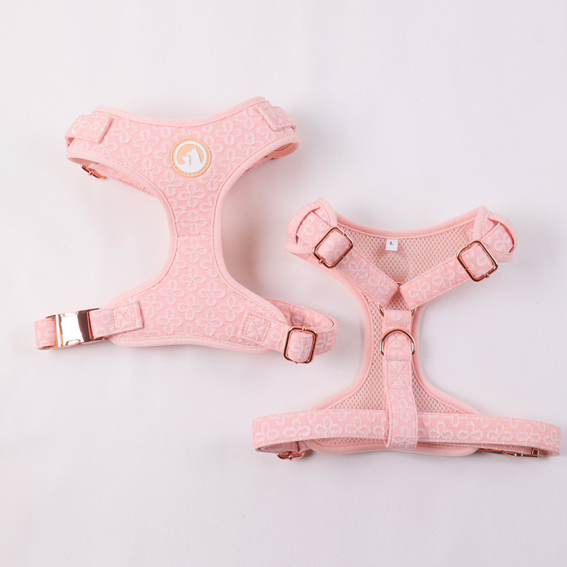 Ensemble harnais, laisse et collier brodés pour chien (collection 2025) 7