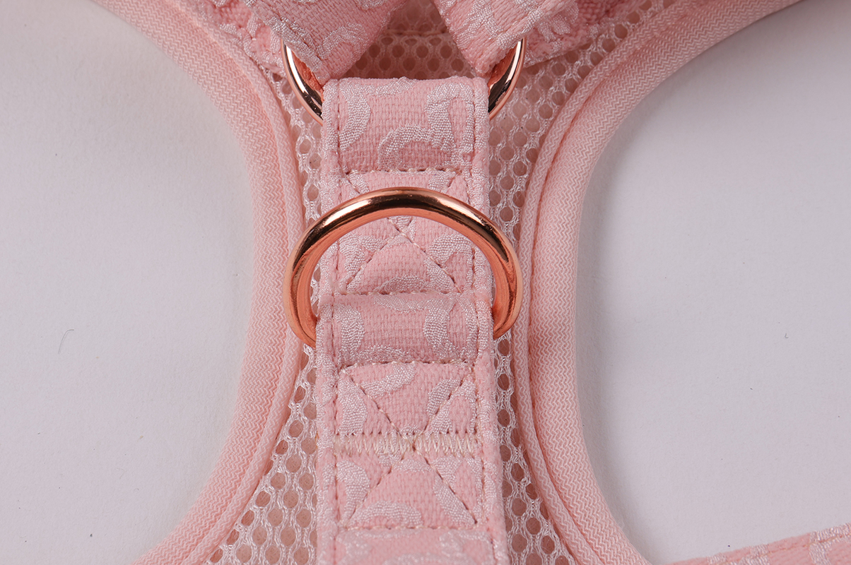 Ensemble harnais, laisse et collier brodés pour chien (collection 2025) 13