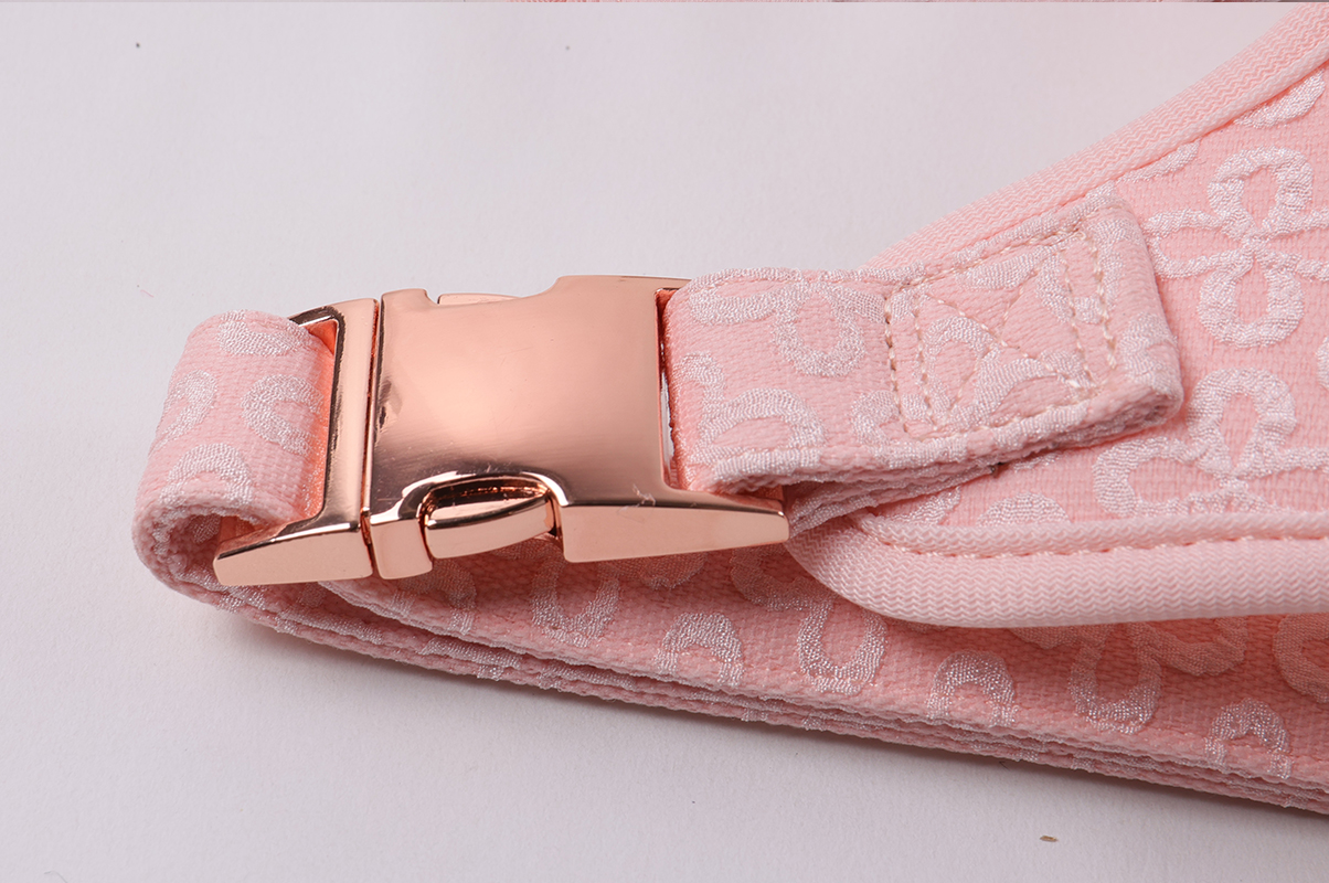 Ensemble harnais, laisse et collier brodés pour chien (collection 2025) 11