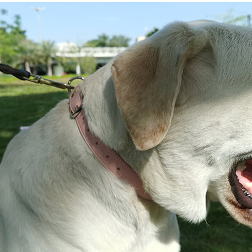 Collier pour chien en cuir souple avec boucle métallique, 5 couleurs et 4 tailles, vente en gros d'usine 18