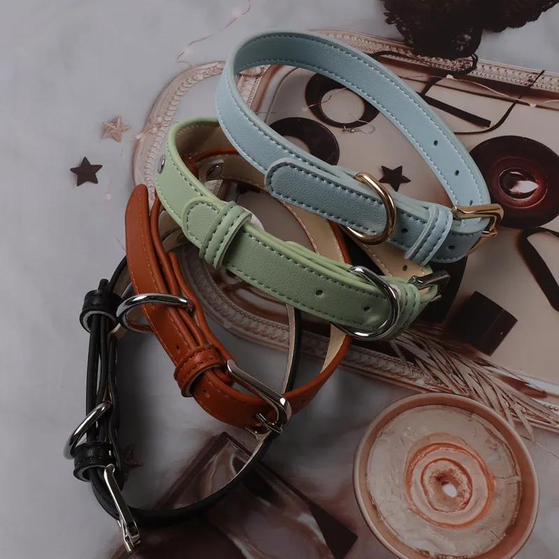 Elegante collar de cuero para perro con hebilla de metal 6