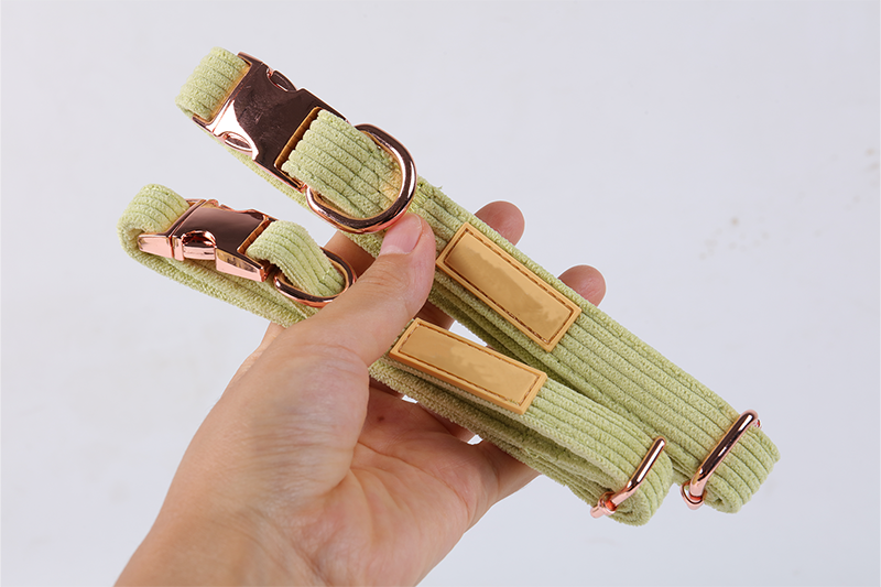 Collier pour chien personnalisé OKEYPETS, collier en velours côtelé ajustable 10