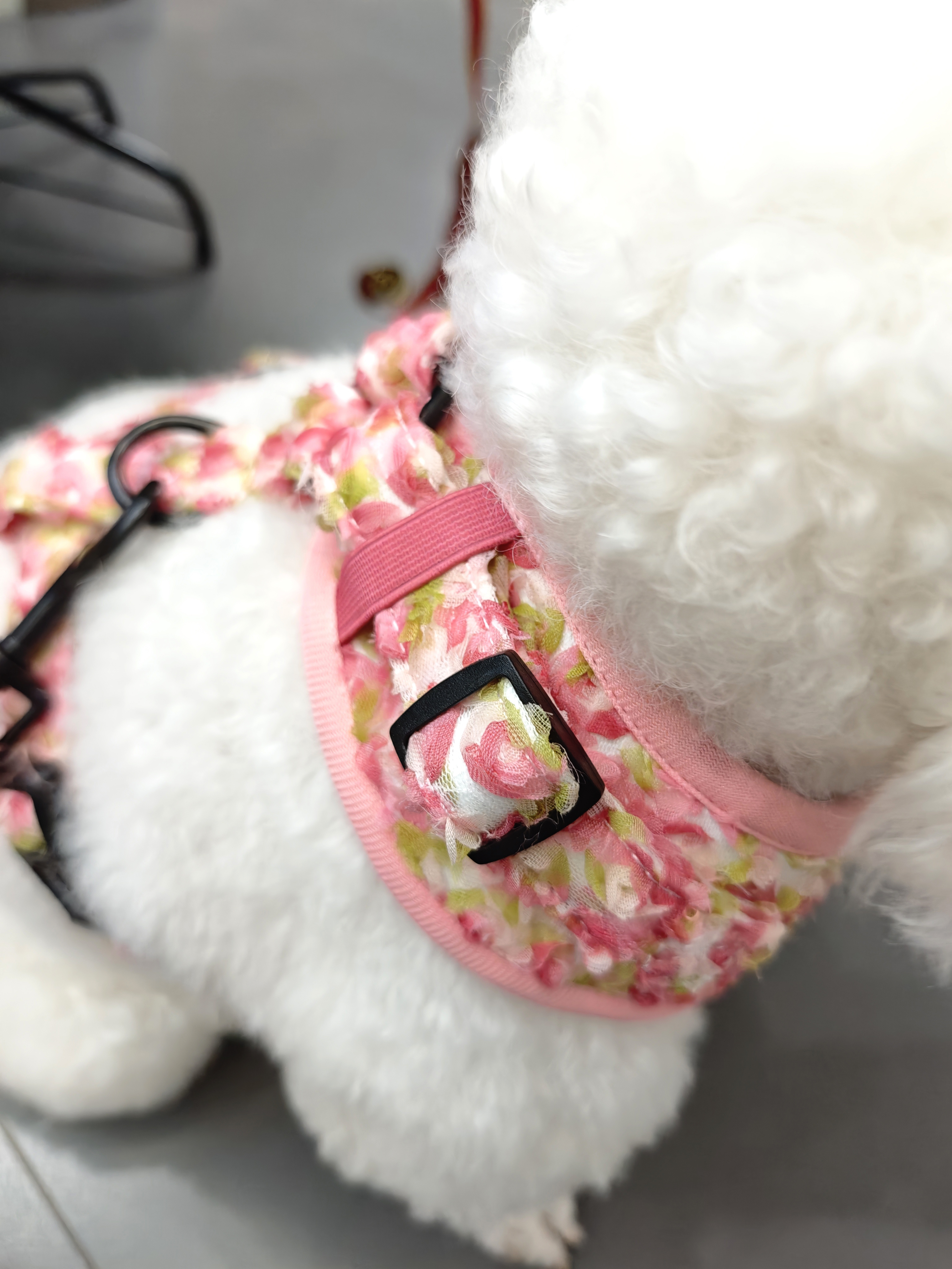 Ensemble harnais pour chien ajustable et personnalisé au crochet de fleurs, collier et laisse pour chien 30