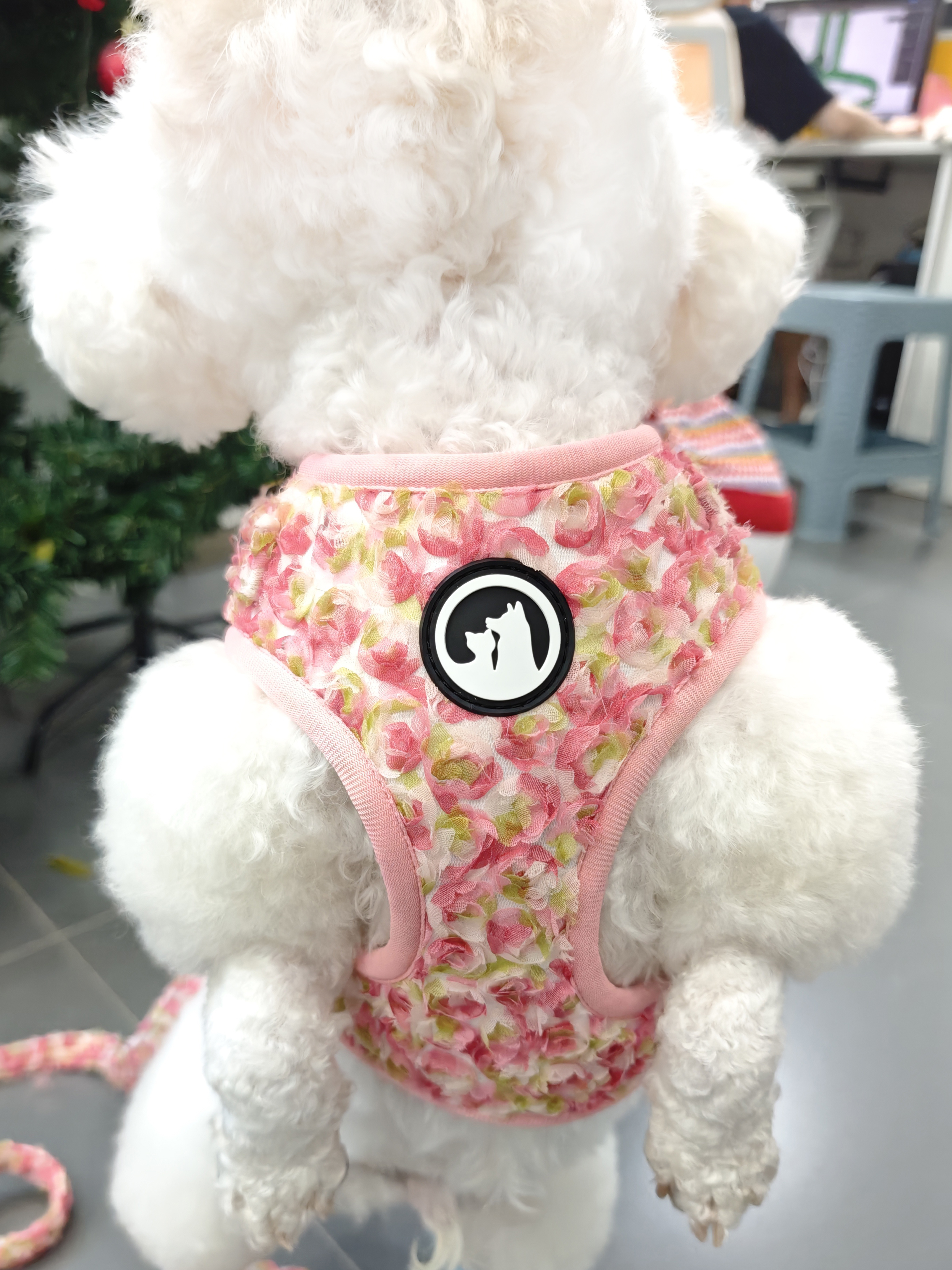 Ensemble harnais pour chien ajustable et personnalisé au crochet de fleurs, collier et laisse pour chien 28