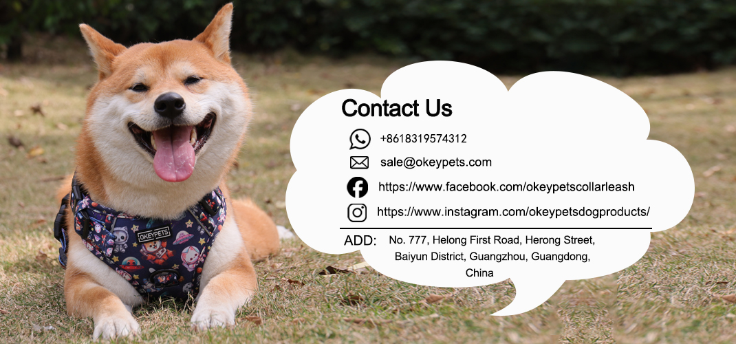Harnais pour chien Okeypets anti-traction à enfiler, logo personnalisé, ensemble de harnais mignon pour promener son chien 25