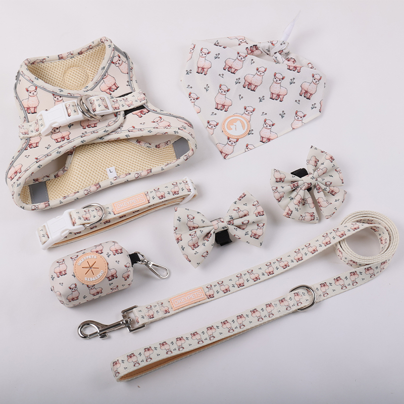 Harnais pour chien Okeypets anti-traction à enfiler, logo personnalisé, ensemble de harnais mignon pour promener son chien 7