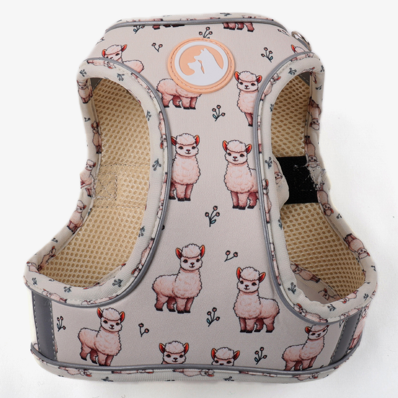 Harnais pour chien Okeypets anti-traction à enfiler, logo personnalisé, ensemble de harnais mignon pour promener son chien 9