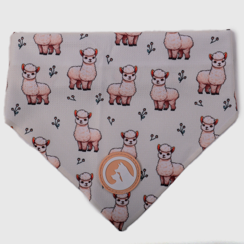 Harnais pour chien Okeypets anti-traction à enfiler, logo personnalisé, ensemble de harnais mignon pour promener son chien 17