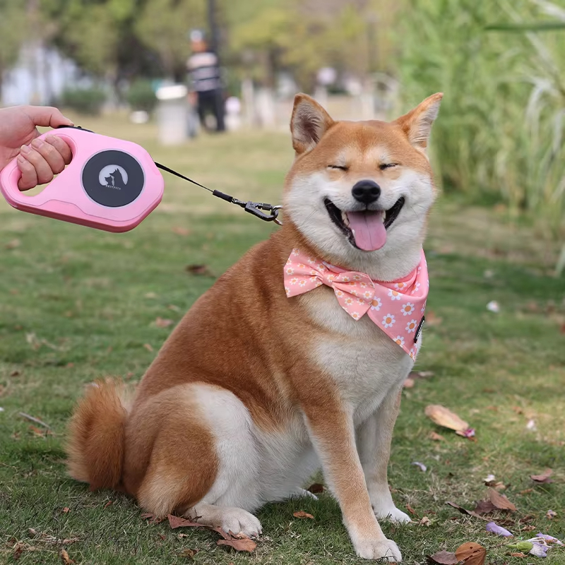 Carte en papier personnalisée avec impression de nœuds papillon pour chiots et chats, nœud papillon mignon pour chien 18