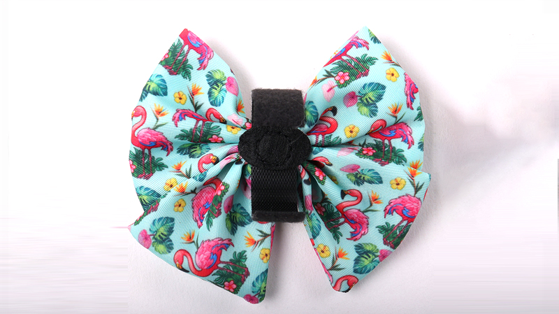 Carte en papier personnalisée avec impression de nœuds papillon pour chiots et chats, nœud papillon mignon pour chien 13