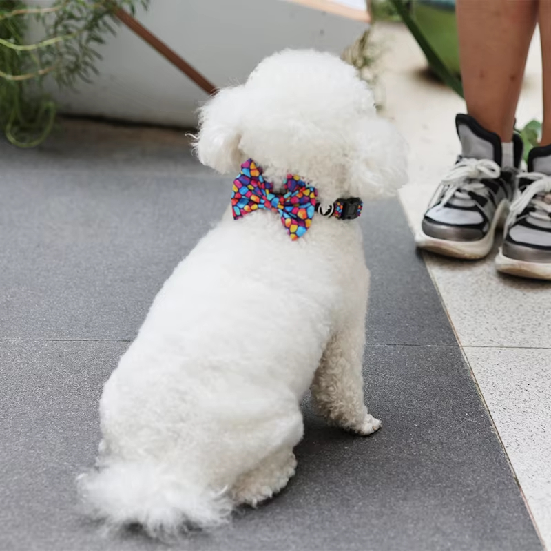 Carte en papier personnalisée avec impression de nœuds papillon pour chiots et chats, nœud papillon mignon pour chien 17