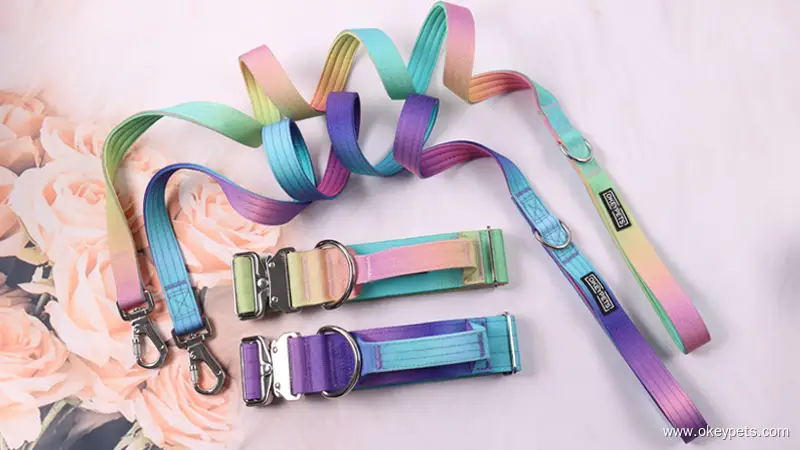 Collier tactique personnalisé pour chien, laisse pour chien, couleur dégradée, collier tactique anti-explosion, laisse pour animaux de compagnie 1
