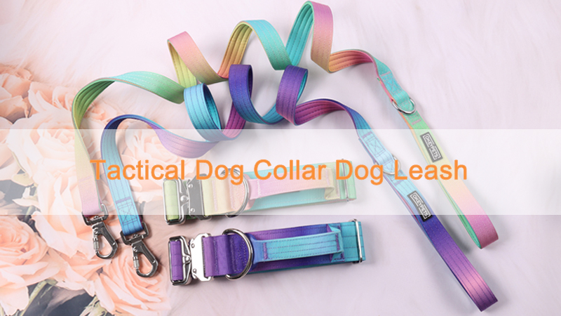 Collier tactique personnalisé pour chien, laisse pour chien, couleur dégradée, collier tactique anti-explosion, laisse pour animaux de compagnie 7