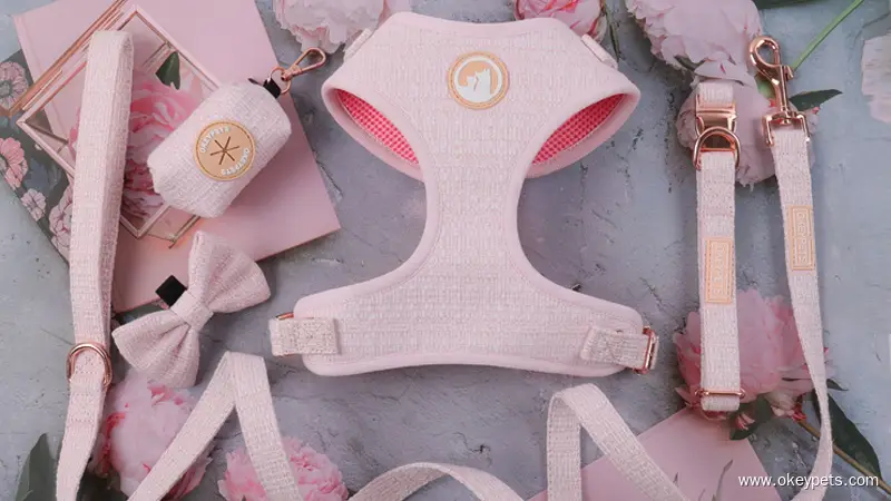 Комплект каишки за кучета с ватиран модел по поръчка, неопренов колан за кучета, нашийник за домашни любимци, каишка за домашни любимци 1