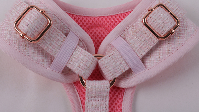 Комплект каишки за кучета с ватиран модел по поръчка, неопренов колан за кучета, нашийник за домашни любимци, каишка за домашни любимци 11