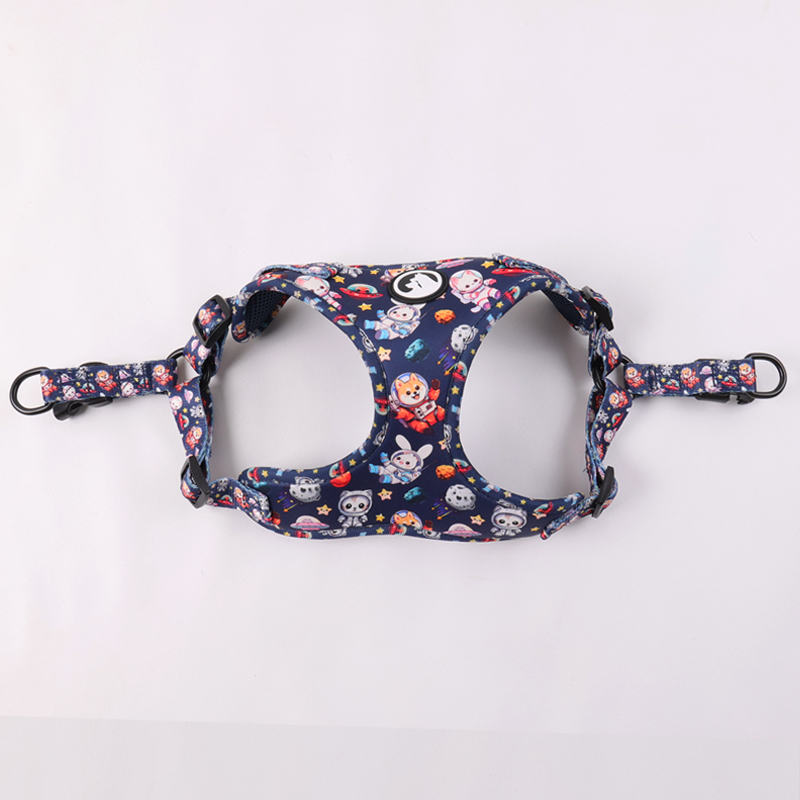 OKEYPETS Harnais pour chien personnalisé en une étape, accessoires pour animaux de compagnie, collier et laisse pour chien 8