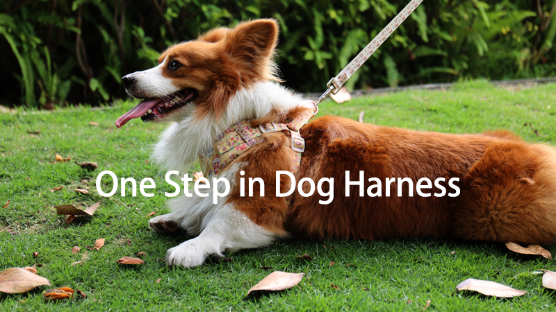 OKEYPETS Harnais pour chien personnalisé en une étape, accessoires pour animaux de compagnie, collier et laisse pour chien 7