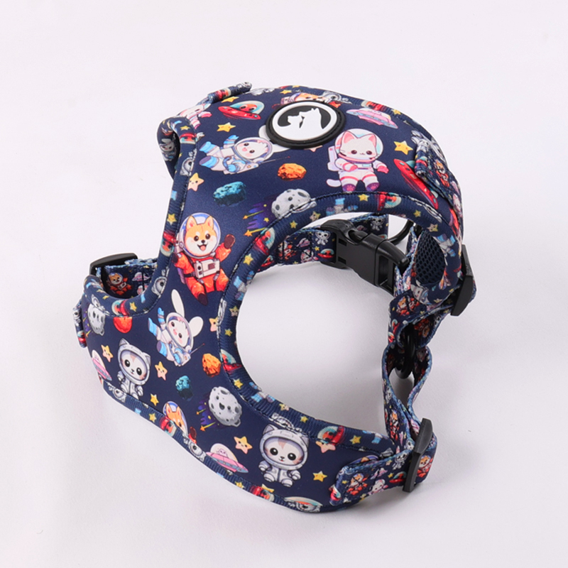 OKEYPETS Harnais pour chien personnalisé en une étape, accessoires pour animaux de compagnie, collier et laisse pour chien 10