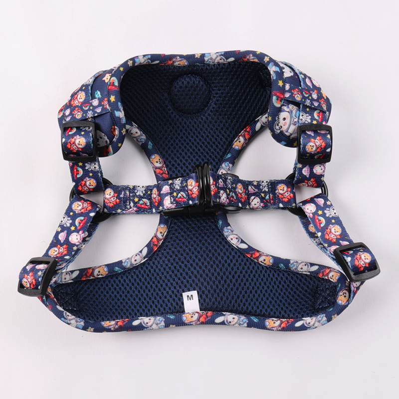 OKEYPETS Harnais pour chien personnalisé en une étape, accessoires pour animaux de compagnie, collier et laisse pour chien 11