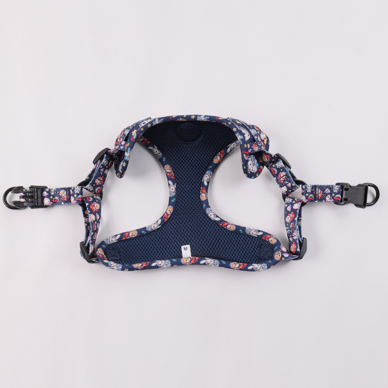 OKEYPETS Harnais pour chien personnalisé en une étape, accessoires pour animaux de compagnie, collier et laisse pour chien 9