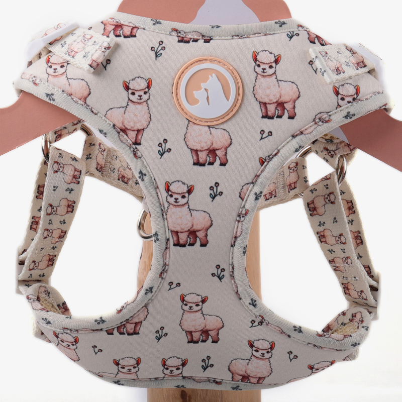 OKEYPETS Harnais pour chien personnalisé en une étape, accessoires pour animaux de compagnie, collier et laisse pour chien 20