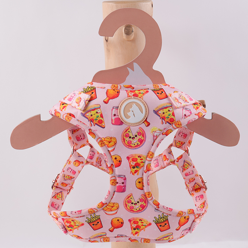 OKEYPETS Harnais pour chien personnalisé en une étape, accessoires pour animaux de compagnie, collier et laisse pour chien 19