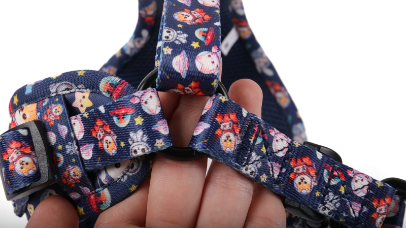 OKEYPETS Harnais pour chien personnalisé en une étape, accessoires pour animaux de compagnie, collier et laisse pour chien 14