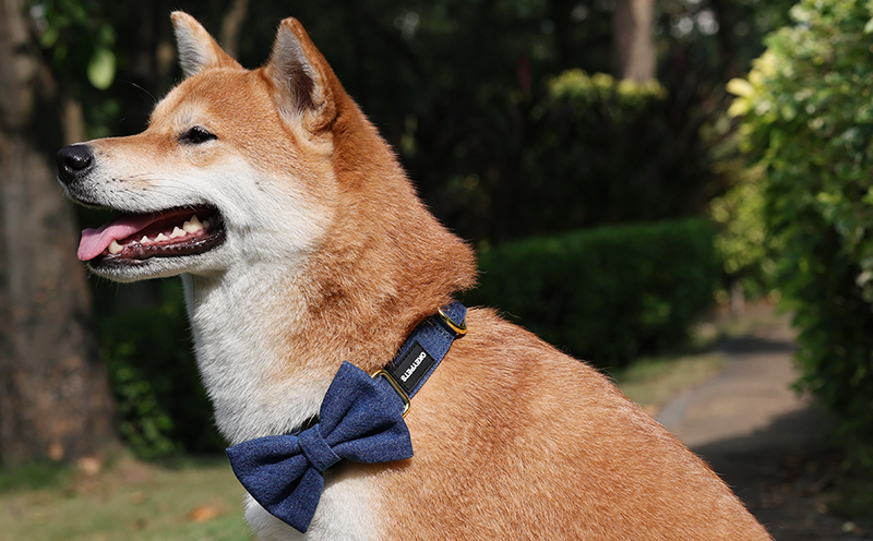 Nœud papillon en denim pour chien, accessoire personnalisé pour animaux de compagnie, nœud papillon mignon et tendance pour chiot avec collier 7