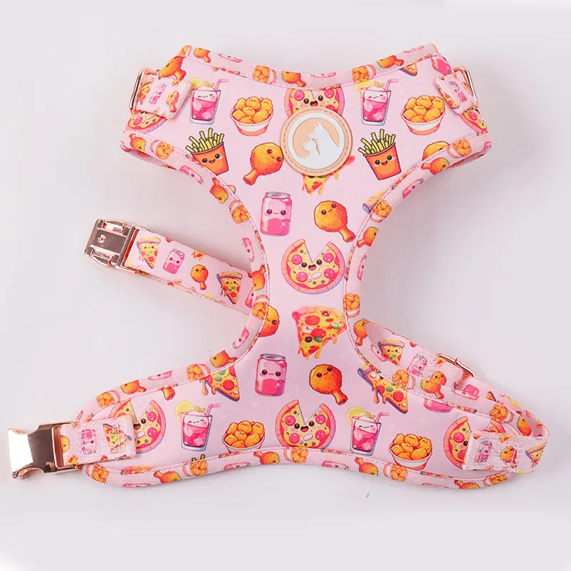 Polyester Dog Harness: Custom Logo, Color, Size, and Accessories 3